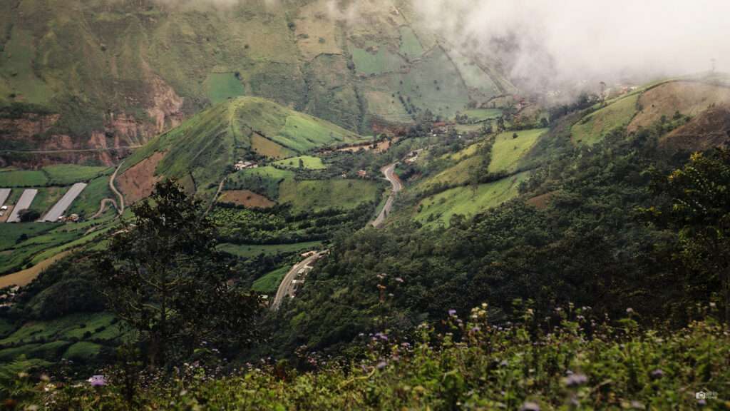 Cultivos - Consacá - Elkin Vallejo