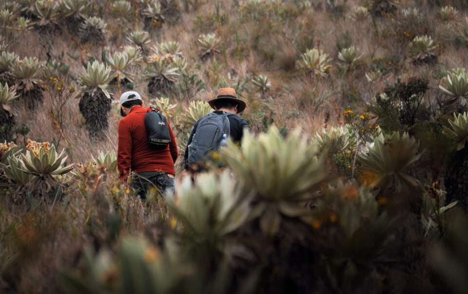 Caminata Páramo El Fraile - Elkin Vallejo