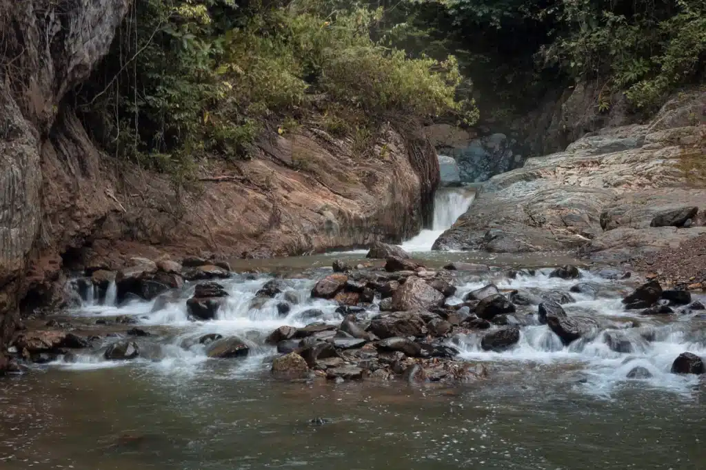 Río Ñanmbí - Elkin Vallejo