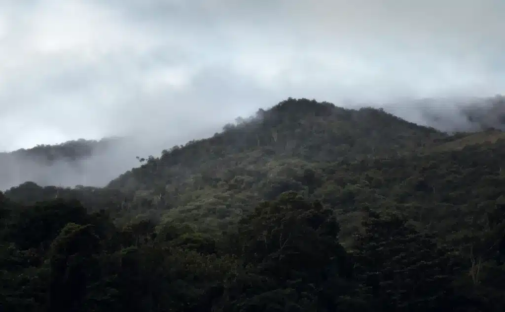 La Planada - Elkin Vallejo