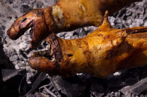 Cuy asado al carbón - Gastronomía nariñense - Elkin Vallejo