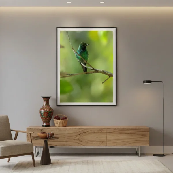 Cuadro decorativo de ave de Nariño en sala de diseño interior moderno fotografía profesional - Elkin Vallejo