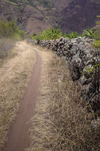 Camino al puente de Tacuaya - Elkin Vallejo