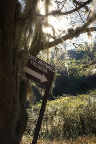Camino al puente de Tacuaya - Elkin Vallejo