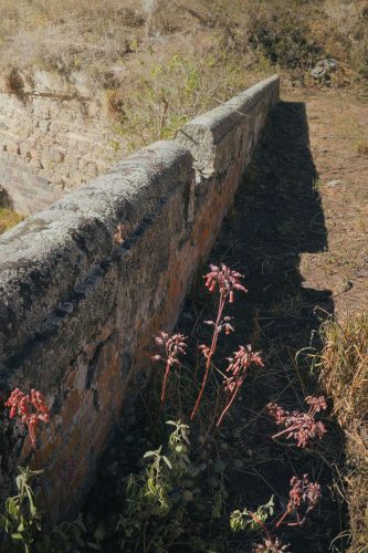 Sobre el Puente de Tacuaya - Elkin Vallejo